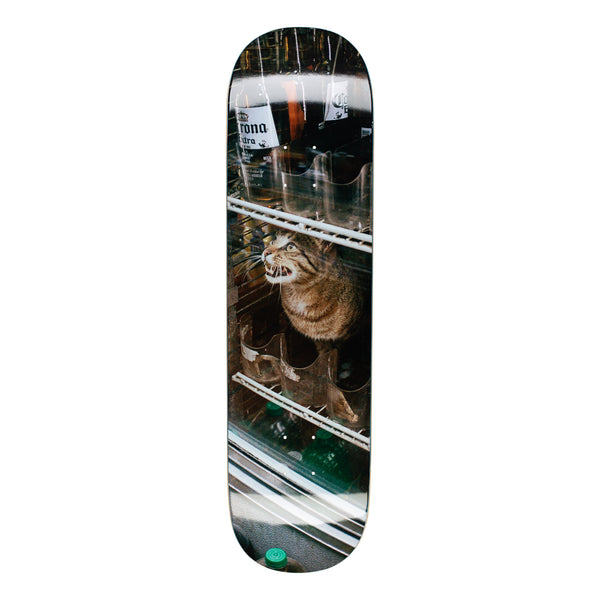 Bodega Cat [8.25]